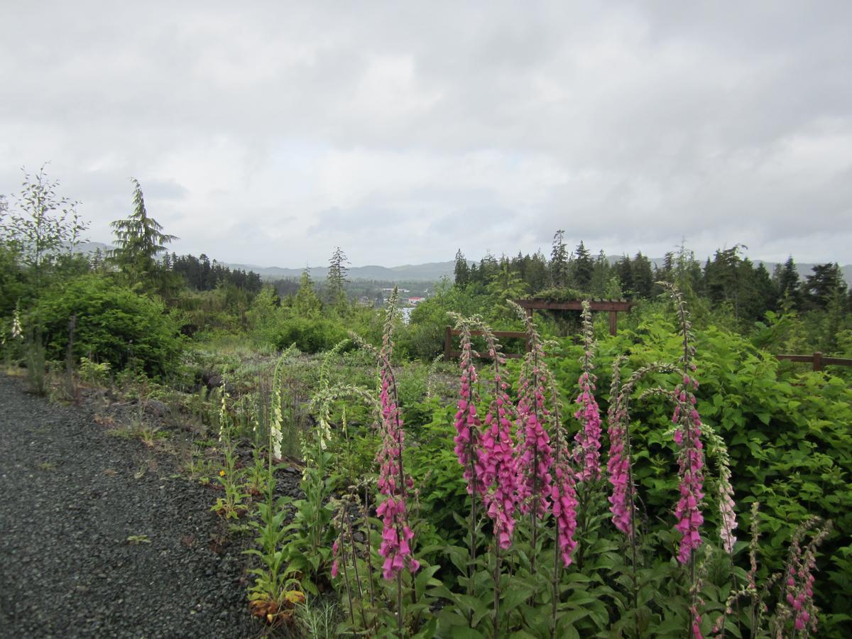 Ecoscape Cabins Hotel Port Hardy Exterior photo